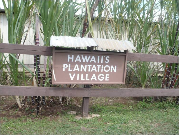 hawaii plantation village field trip